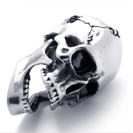 Skull Titanium Pendant 20819