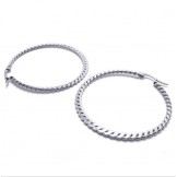 Ring Braid Titanium Earrings 20815