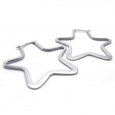 Star Titanium Earrings 20575