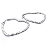 Heart Titanium Earrings 20565
