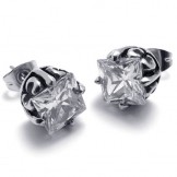 Diamond Titanium Earrings 20258