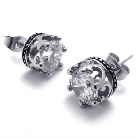 Diamond Titanium Earrings 20257