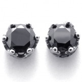 Diamond Titanium Earrings 20256