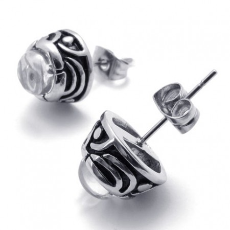 Diamond Titanium Earrings 20255