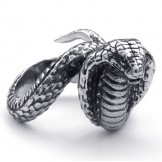 Luxuriant in Design Delicate Colors Reliable Quality Titanium Ring