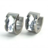 Luxuriant in Design Color Brilliancy Stable Quality Titanium Earrings