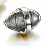 Quality and Quantity Assured Male Exaggerate Titanium Ring 