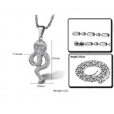 Complete in Specifications Cobral Titanium Necklace 