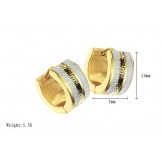 Easy to Use Female Wall Pattern Titanium Earrings 