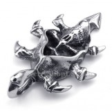 Stunning Titanium Skull Pendant Necklace (Free Chain)
