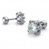 Latest Technology Color Brilliancy High Quality Titanium Earrings