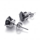 Sophisticated Technology Color Brilliancy Stable Quality Titanium Earrings