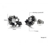 Reliable Quality Titanium Earrings With Rhinestone